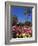 Roses, Central Courtyard, Mission San Juan Capistrano, Orange County, California, USA-Richard Cummins-Framed Photographic Print