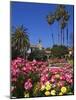 Roses, Central Courtyard, Mission San Juan Capistrano, Orange County, California, USA-Richard Cummins-Mounted Photographic Print