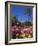 Roses, Central Courtyard, Mission San Juan Capistrano, Orange County, California, USA-Richard Cummins-Framed Photographic Print