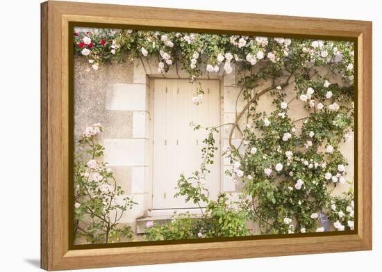 Roses Cover a House in the Village of Chedigny, Indre-Et-Loire, Centre, France, Europe-Julian Elliott-Framed Premier Image Canvas