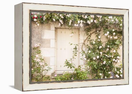 Roses Cover a House in the Village of Chedigny, Indre-Et-Loire, Centre, France, Europe-Julian Elliott-Framed Premier Image Canvas