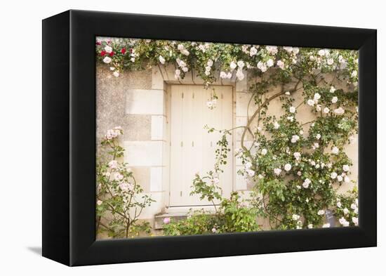 Roses Cover a House in the Village of Chedigny, Indre-Et-Loire, Centre, France, Europe-Julian Elliott-Framed Premier Image Canvas