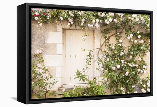 Roses Cover a House in the Village of Chedigny, Indre-Et-Loire, Centre, France, Europe-Julian Elliott-Framed Premier Image Canvas