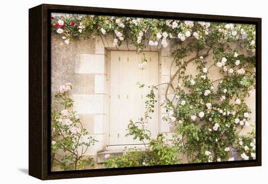 Roses Cover a House in the Village of Chedigny, Indre-Et-Loire, Centre, France, Europe-Julian Elliott-Framed Premier Image Canvas