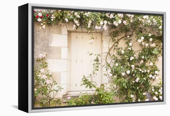 Roses Cover a House in the Village of Chedigny, Indre-Et-Loire, Centre, France, Europe-Julian Elliott-Framed Premier Image Canvas