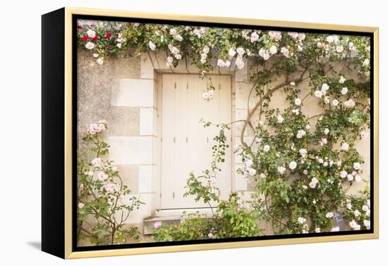 Roses Cover a House in the Village of Chedigny, Indre-Et-Loire, Centre, France, Europe-Julian Elliott-Framed Premier Image Canvas