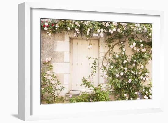 Roses Cover a House in the Village of Chedigny, Indre-Et-Loire, Centre, France, Europe-Julian Elliott-Framed Photographic Print