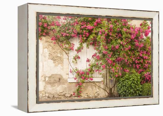 Roses Cover a House in the Village of Chedigny, Indre-Et-Loire, Centre, France, Europe-Julian Elliott-Framed Premier Image Canvas