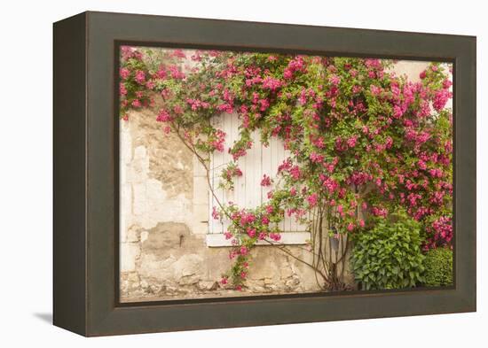 Roses Cover a House in the Village of Chedigny, Indre-Et-Loire, Centre, France, Europe-Julian Elliott-Framed Premier Image Canvas