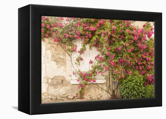 Roses Cover a House in the Village of Chedigny, Indre-Et-Loire, Centre, France, Europe-Julian Elliott-Framed Premier Image Canvas