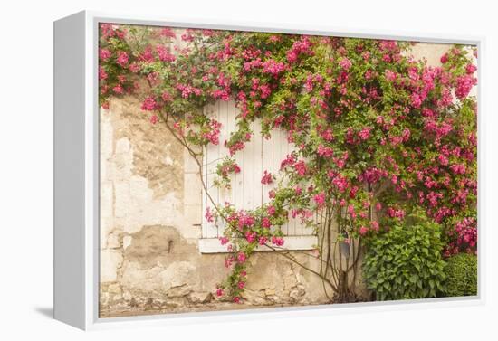Roses Cover a House in the Village of Chedigny, Indre-Et-Loire, Centre, France, Europe-Julian Elliott-Framed Premier Image Canvas