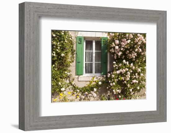 Roses Cover a House in the Village of Chedigny, Indre-Et-Loire, Centre, France, Europe-Julian Elliott-Framed Photographic Print