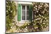 Roses Cover a House in the Village of Chedigny, Indre-Et-Loire, Centre, France, Europe-Julian Elliott-Mounted Photographic Print