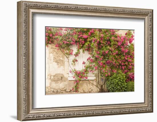 Roses Cover a House in the Village of Chedigny, Indre-Et-Loire, Centre, France, Europe-Julian Elliott-Framed Photographic Print