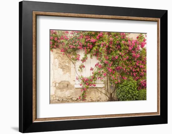 Roses Cover a House in the Village of Chedigny, Indre-Et-Loire, Centre, France, Europe-Julian Elliott-Framed Photographic Print