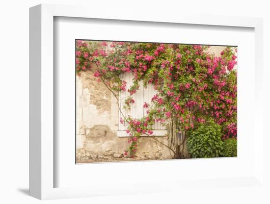 Roses Cover a House in the Village of Chedigny, Indre-Et-Loire, Centre, France, Europe-Julian Elliott-Framed Photographic Print