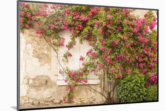 Roses Cover a House in the Village of Chedigny, Indre-Et-Loire, Centre, France, Europe-Julian Elliott-Mounted Photographic Print