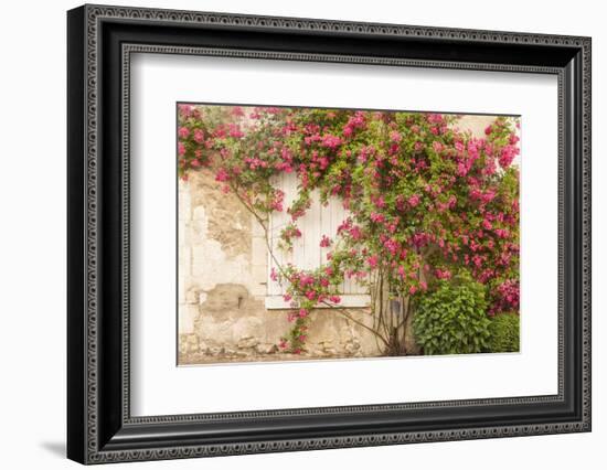 Roses Cover a House in the Village of Chedigny, Indre-Et-Loire, Centre, France, Europe-Julian Elliott-Framed Photographic Print