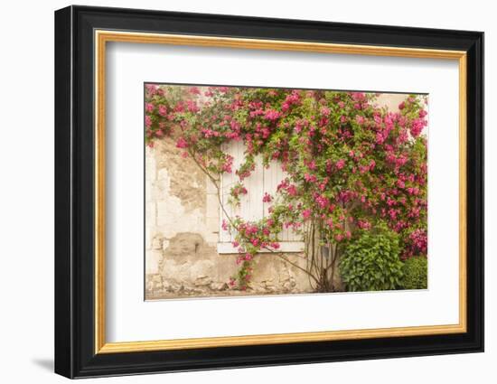 Roses Cover a House in the Village of Chedigny, Indre-Et-Loire, Centre, France, Europe-Julian Elliott-Framed Photographic Print