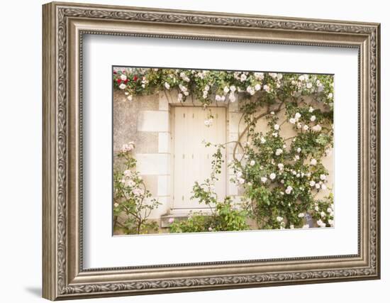 Roses Cover a House in the Village of Chedigny, Indre-Et-Loire, Centre, France, Europe-Julian Elliott-Framed Photographic Print