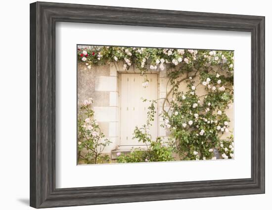 Roses Cover a House in the Village of Chedigny, Indre-Et-Loire, Centre, France, Europe-Julian Elliott-Framed Photographic Print