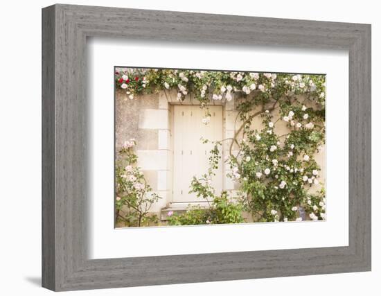 Roses Cover a House in the Village of Chedigny, Indre-Et-Loire, Centre, France, Europe-Julian Elliott-Framed Photographic Print