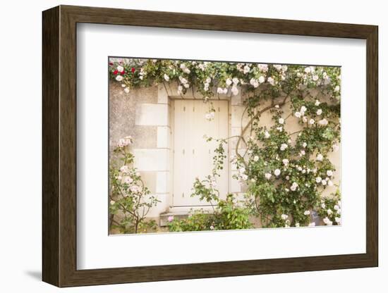 Roses Cover a House in the Village of Chedigny, Indre-Et-Loire, Centre, France, Europe-Julian Elliott-Framed Photographic Print