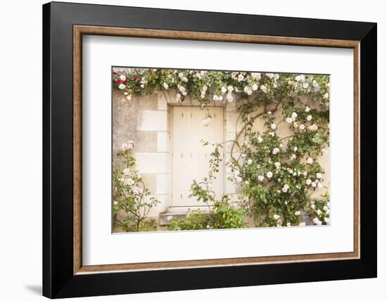 Roses Cover a House in the Village of Chedigny, Indre-Et-Loire, Centre, France, Europe-Julian Elliott-Framed Photographic Print