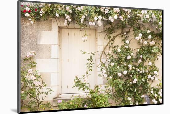 Roses Cover a House in the Village of Chedigny, Indre-Et-Loire, Centre, France, Europe-Julian Elliott-Mounted Photographic Print