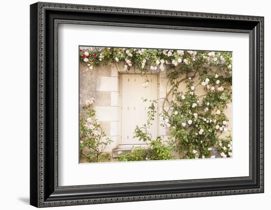 Roses Cover a House in the Village of Chedigny, Indre-Et-Loire, Centre, France, Europe-Julian Elliott-Framed Photographic Print