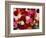 Roses for Sale at Flower Market-Tibor Bogn?r-Framed Photographic Print