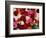 Roses for Sale at Flower Market-Tibor Bogn?r-Framed Photographic Print