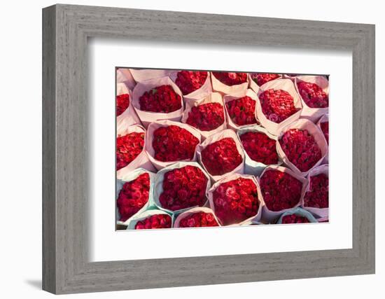 Roses for Sale, Flower Market, Near Chinatown, Bangkok, Thailand-Peter Adams-Framed Photographic Print