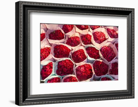 Roses for Sale, Flower Market, Near Chinatown, Bangkok, Thailand-Peter Adams-Framed Photographic Print