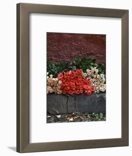 Roses for Sale on Street, San Miguel De Allende, Mexico-Nancy Rotenberg-Framed Photographic Print