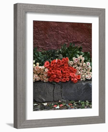 Roses for Sale on Street, San Miguel De Allende, Mexico-Nancy Rotenberg-Framed Photographic Print