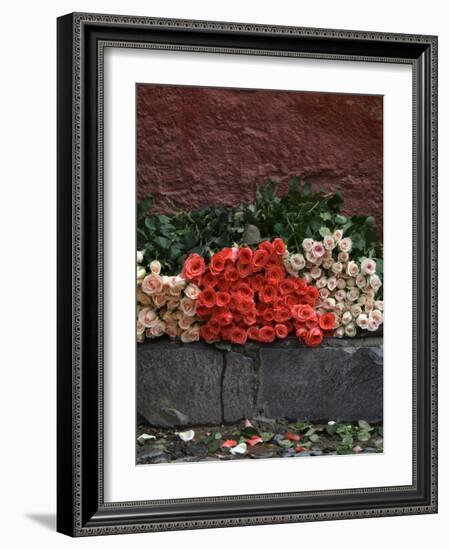 Roses for Sale on Street, San Miguel De Allende, Mexico-Nancy Rotenberg-Framed Photographic Print