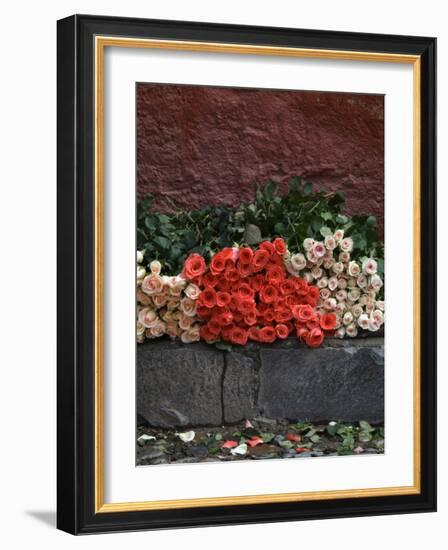 Roses for Sale on Street, San Miguel De Allende, Mexico-Nancy Rotenberg-Framed Photographic Print