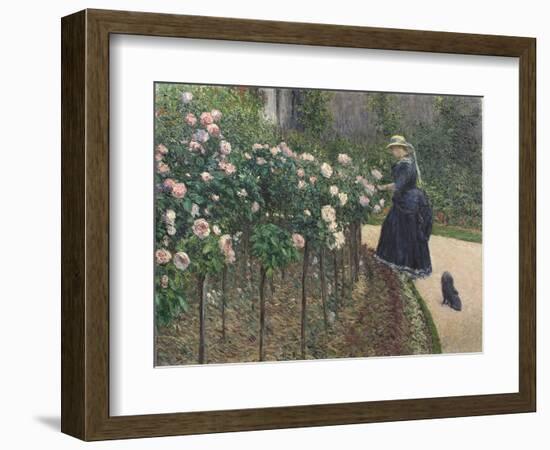 Roses, Garden at Petit Gennevilliers - Gustave Caillebotte (1848-1894). Oil on Canvas, 1886. Dimens-Gustave Caillebotte-Framed Giclee Print
