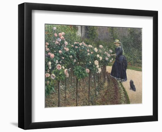 Roses, Garden at Petit Gennevilliers - Gustave Caillebotte (1848-1894). Oil on Canvas, 1886. Dimens-Gustave Caillebotte-Framed Giclee Print