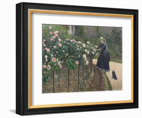 Roses, Garden at Petit Gennevilliers - Gustave Caillebotte (1848-1894). Oil on Canvas, 1886. Dimens-Gustave Caillebotte-Framed Giclee Print