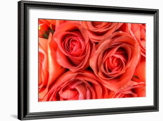 Roses in a Bunch-Robert Goldwitz-Framed Photographic Print