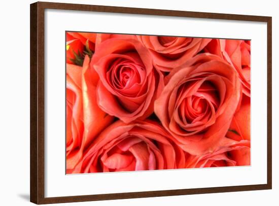 Roses in a Bunch-Robert Goldwitz-Framed Photographic Print