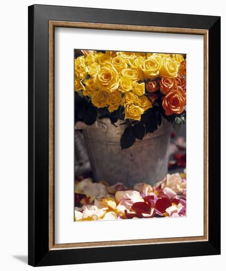 Roses in a Flower Market, Paris, France-Walter Bibikow-Framed Photographic Print