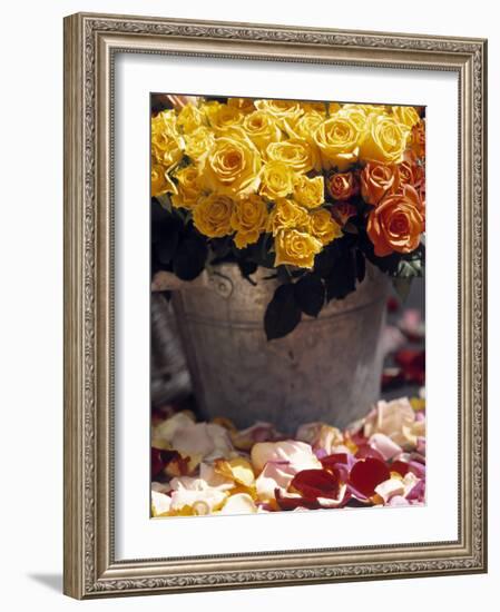 Roses in a Flower Market, Paris, France-Walter Bibikow-Framed Photographic Print