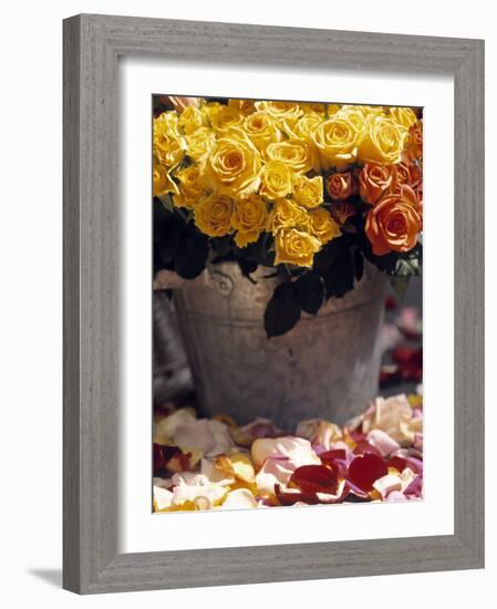 Roses in a Flower Market, Paris, France-Walter Bibikow-Framed Photographic Print