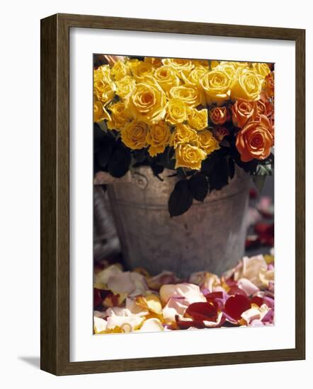 Roses in a Flower Market, Paris, France-Walter Bibikow-Framed Photographic Print