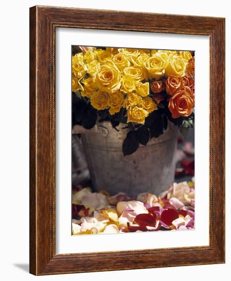 Roses in a Flower Market, Paris, France-Walter Bibikow-Framed Photographic Print