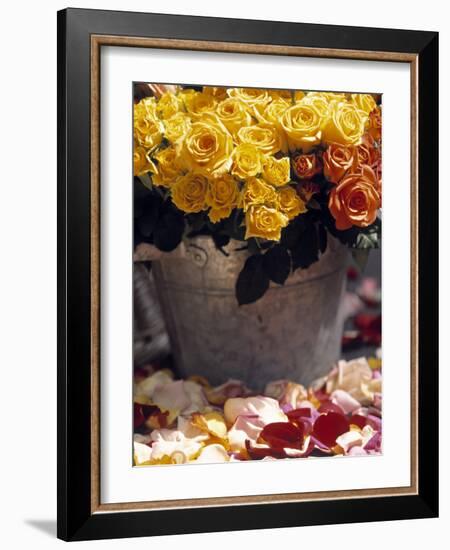 Roses in a Flower Market, Paris, France-Walter Bibikow-Framed Photographic Print