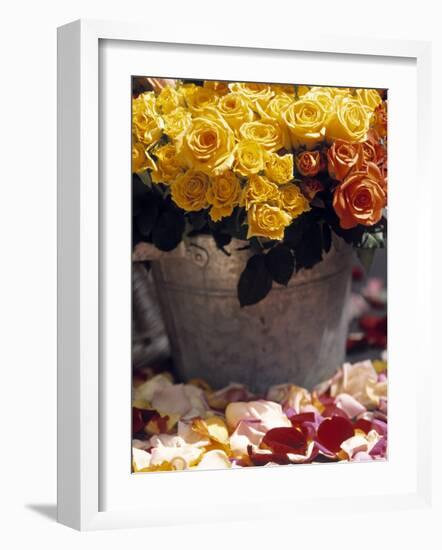 Roses in a Flower Market, Paris, France-Walter Bibikow-Framed Photographic Print